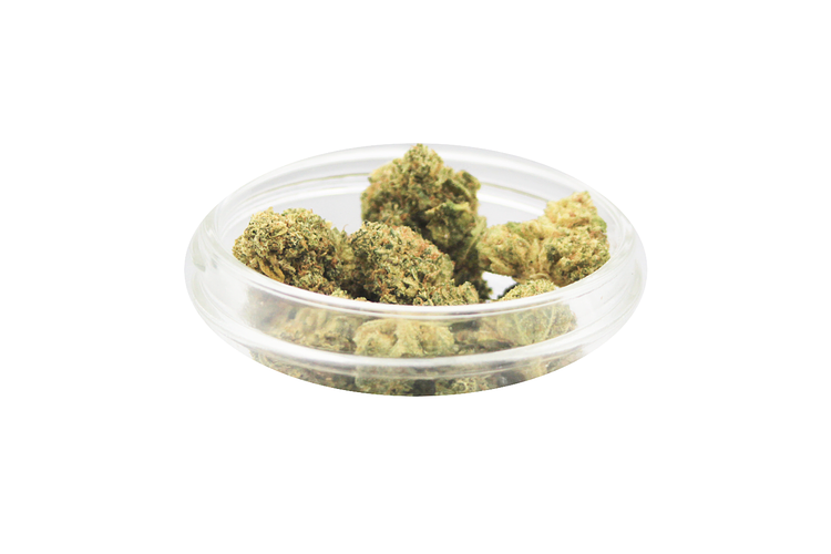 Primitiv | Jungle Canyon Grade A Bulk by Primitiv