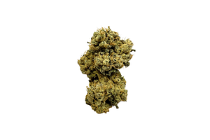 Society C | Dulce De Fresa Bulk Flower by SOCIETY C
