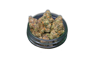 Society C | Vice City Bulk Flower by Society C
