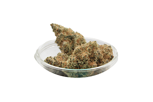 Terple Gang | Sub Zero Bulk Flower by Terple Gang