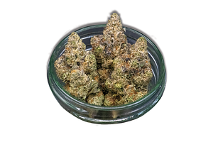 Sozo | Frozen Dessert Bulk Flower by Sozo