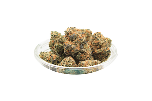 Terple Gang | Cadillac Rainbows Bulk Flower by Terple Gang