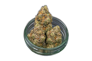 Sozo | Biscotti Pippen Bulk Flower by Sozo