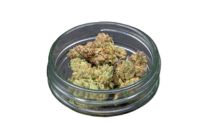 Common Citizen | Bakers Dozen Bulk Flower by Common Citizen