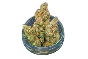 Common Citizen | Sour Plums Bulk Flower by COMMON CITIZEN