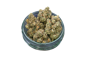Common Citizen | Sugar Breath Bulk Flower by Common Citizen