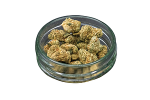 Common Citizen | East Side OG Bulk Flower (Smalls) by Common Citizen