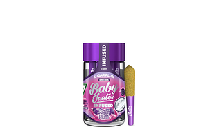 Sugar Plum Infused Pre-Roll Pack | 5x0.5g | 2.5g by Jeeter