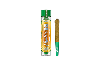 Jeeter | Pina Colada Infused Pre-Roll | 1g by Jeeter