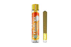 Jeeter | Pina Colada Infused Pre-Roll XL | 2g by Jeeter