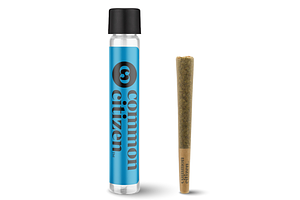 Common Citizen | Monkey Bread Pre-Roll | 1g by Common Citizen