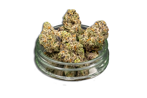 Common Citizen | Dracoz Bulk Flower by COMMON CITIZEN