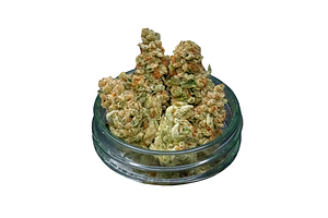 Common Citizen | Communion Bulk Flower by Common Citizen