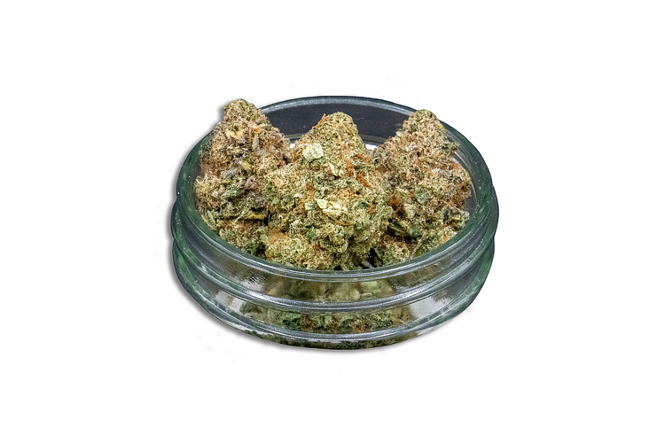 Hippie Crasher Bulk Flower by Common Citizen