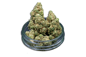 Chem x Chocolate Bulk Flower by Common Citizen