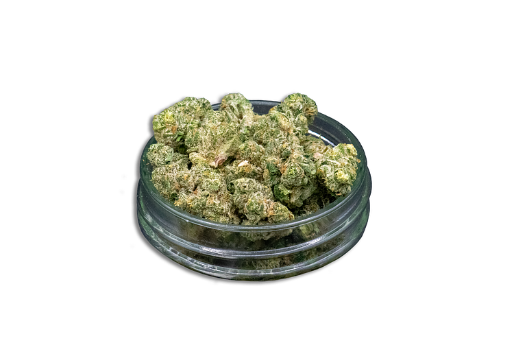 Banana Banshee Bulk Flower (Smalls) by Common Citizen