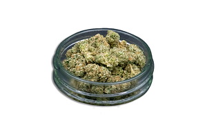 Lemon Bar Bulk Flower (Smalls) by Common Citizen