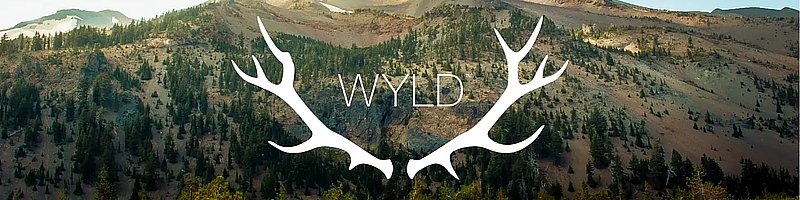 Wyld Cover Image