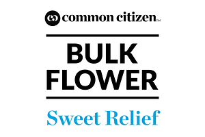 King Wilson Bulk Flower (Smalls) by Common Citizen