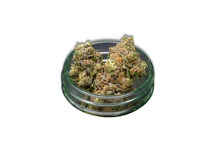 Envy Hand-Trimmed Bulk Flower by Common Citizen