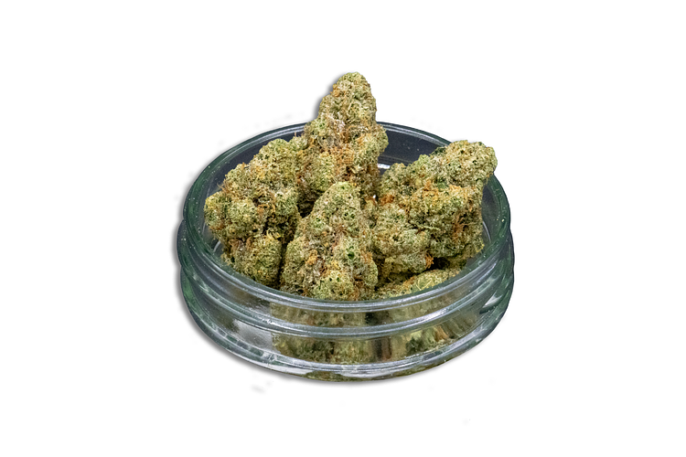 Jelly Jam Bulk Flower by Common Citizen