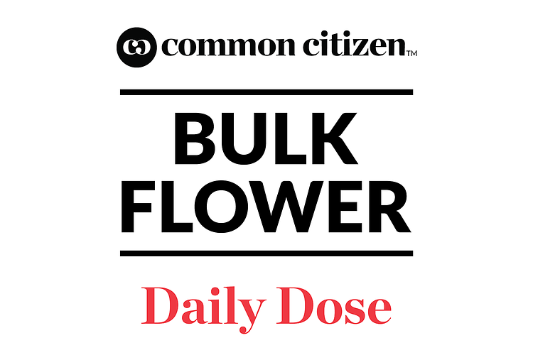 Dulce De Papaya Bulk Flower by Common Citizen