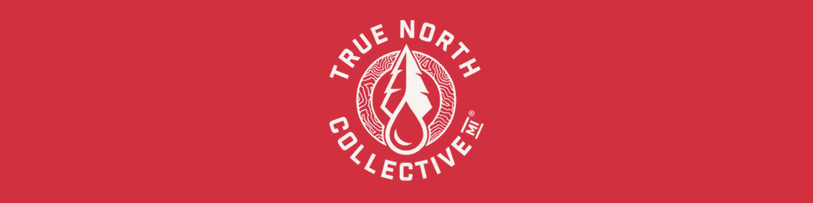 True North Cover Image