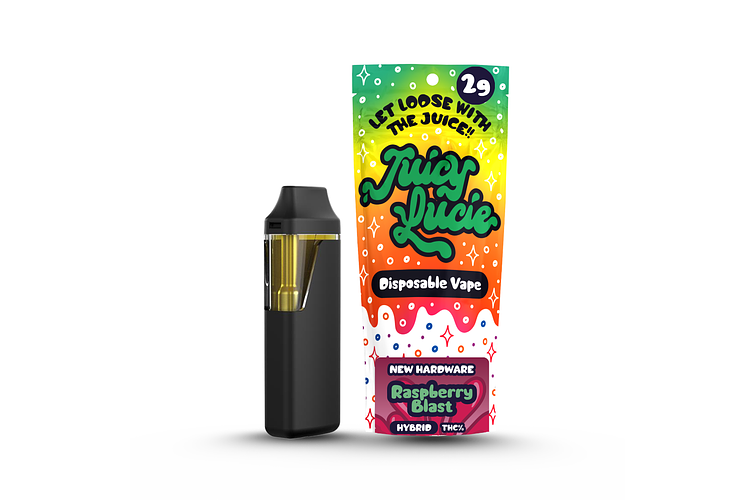 Raspberry Blast Disposable Vape | 2g by Juicy Lucie