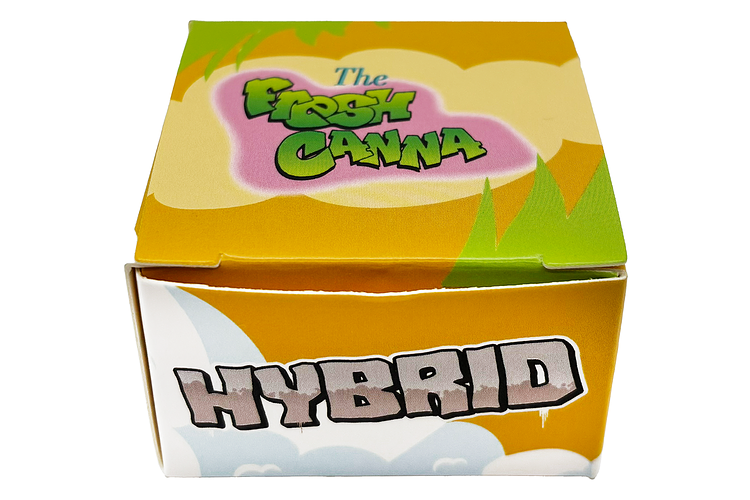 Skywalker OG Live Rosin | 1g by Fresh Canna