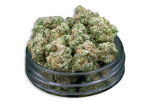 King Wilson Bulk Flower (Smalls) by Common Citizen