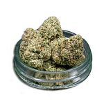 Buddha Tahoe OG Bulk Flower by Common Citizen