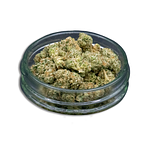Lemon Bar Bulk Flower (Smalls) by Common Citizen