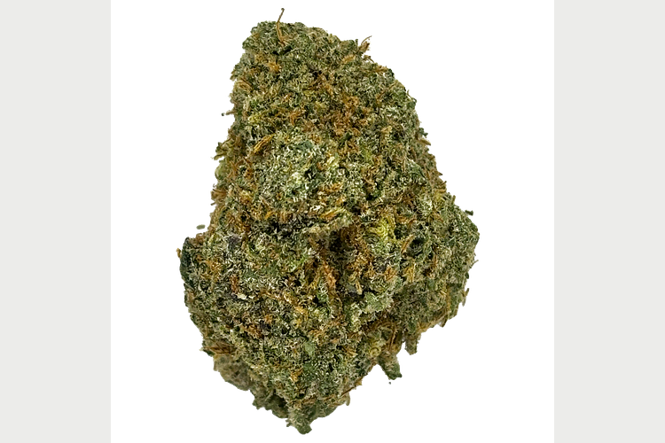 Midzotics | Dark Web Bulk Flower by Midzotics