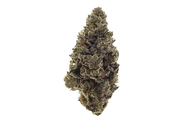 Bud Hub | Sherb Cream Pie Bulk Flower by Bud Hub