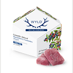 Huckleberry Gummies | 10x20mg | 200mg by Wyld