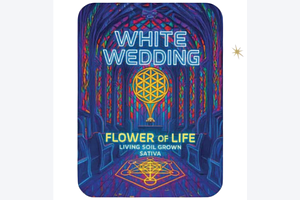 Flower Of Life | White Wedding Pre-Roll | 1g by Flower Of Life