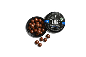 Blueberry Bites | 20x5mg | 100mg by Terra