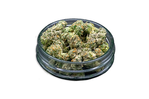 GMO x Mendo Breath Bulk Flower (Smalls) by Common Citizen