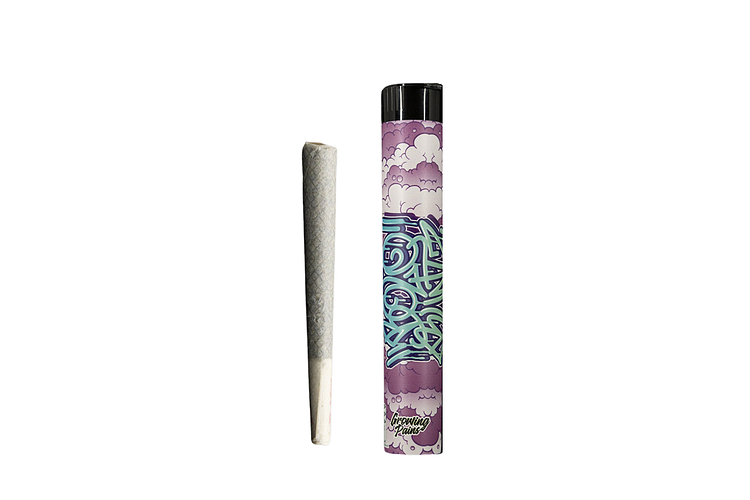 Bolo Runtz Pre-Roll | 1g by Growing Pains