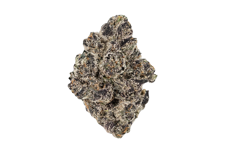 Popz 41 Bulk Flower by Hytek