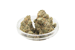 Glitter Bomb x Sweet Tea Bulk Flower by Glorious Cannabis Co.