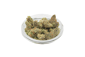 El Chivo Bulk Flower by Glorious Cannabis Co.