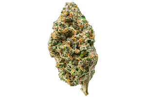 Mac N Cheese Bulk Flower by Common Citizen