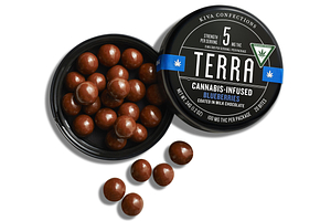 Blueberry Bites | 20x5mg | 100mg by Terra