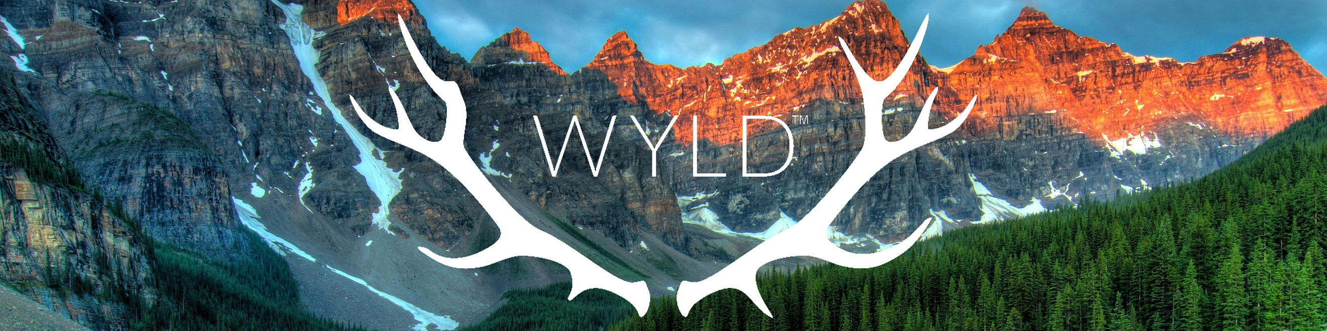Wyld Cover Image