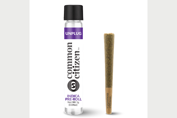 Detroit Purps Pre-Roll | 1g by Common Citizen