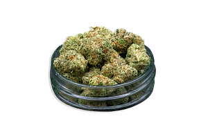 Gotti Bulk Flower (Smalls) by Common Citizen