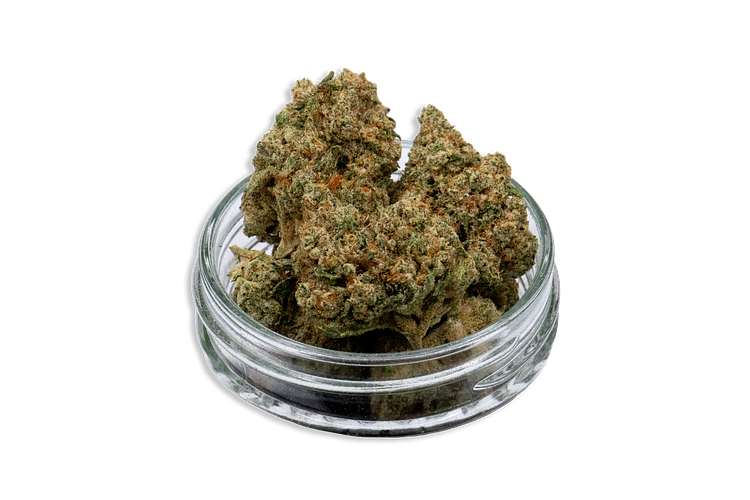 Hollywood Ghost Bulk Flower by Common Citizen