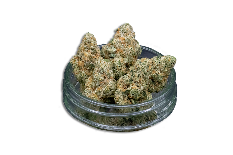 Platinum Cake Bulk Flower by Common Citizen
