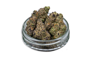 OGee Crasher Bulk Flower by Common Citizen